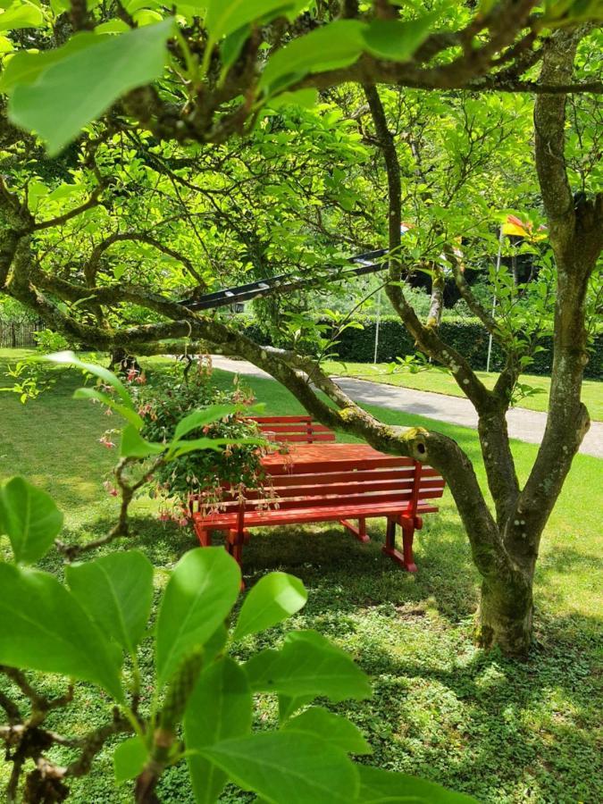ألتينار B&B Am Sahrbach المظهر الخارجي الصورة
